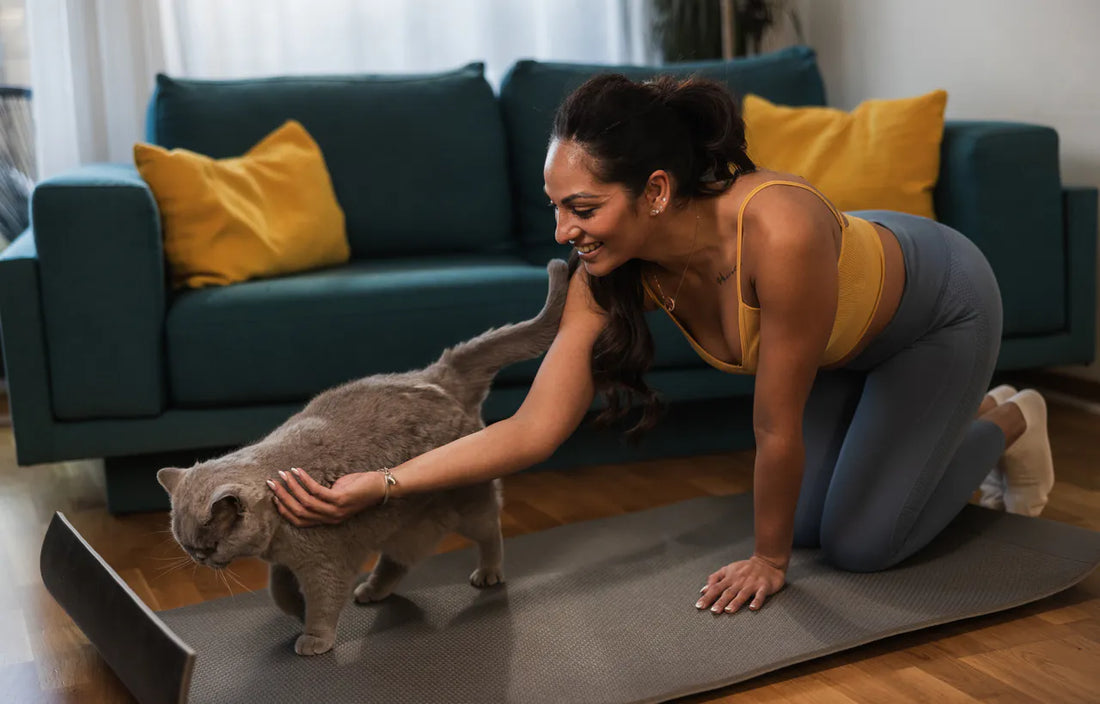 Cat Yoga & Co.: Wenn Katzen unsere Trends erobern