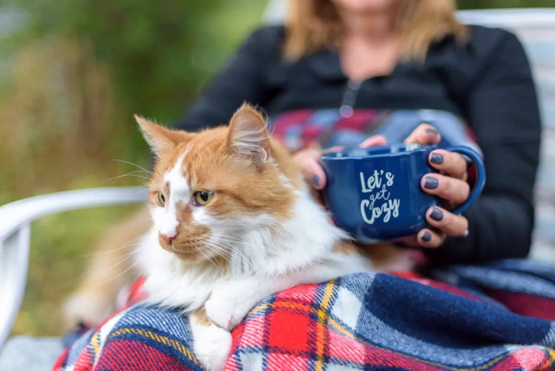 Morgenritual mit Kaffee und Katze