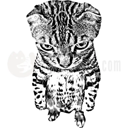 Design Vorschau Bengal Black and White