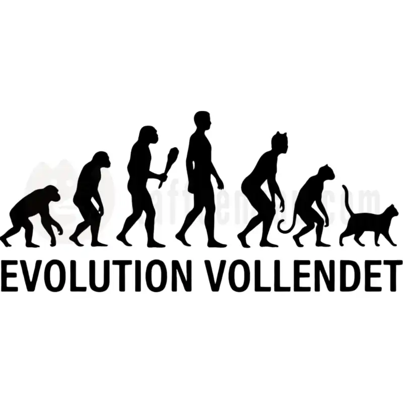 Design Vorschau Evolution
