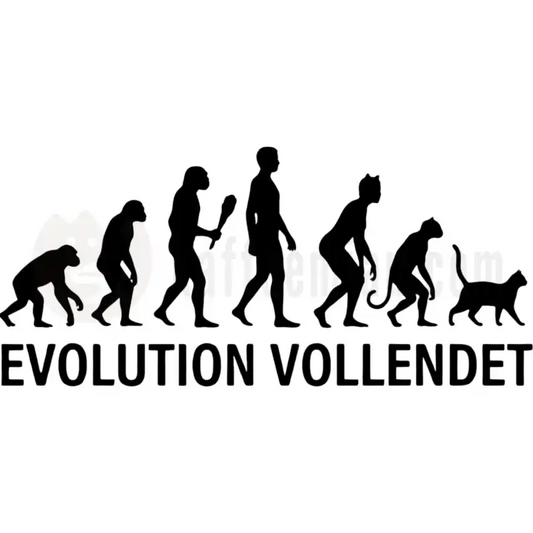 Design Vorschau Evolution