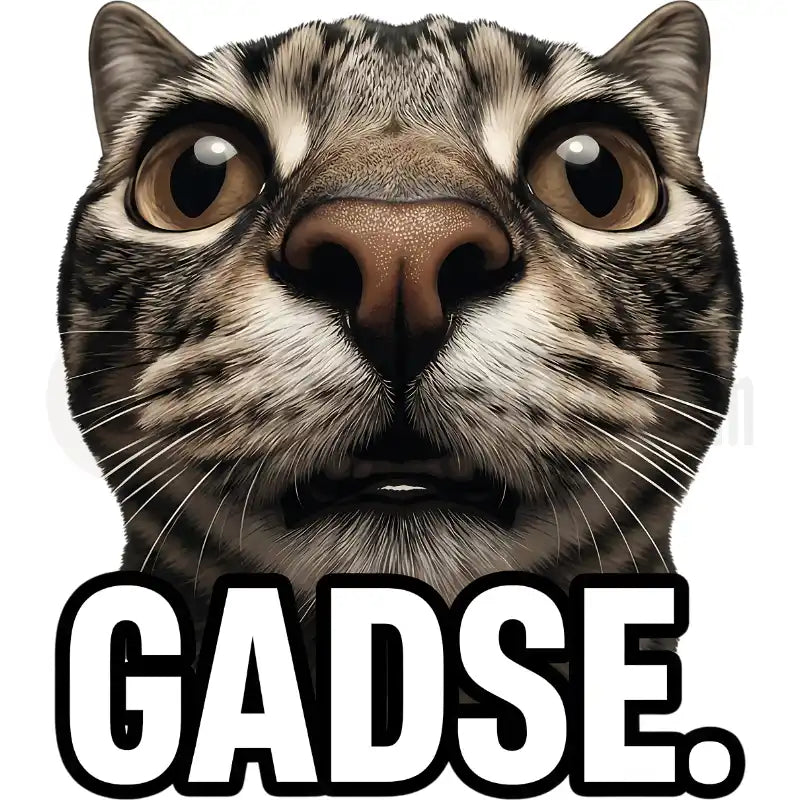 Design Vorschau GADSE