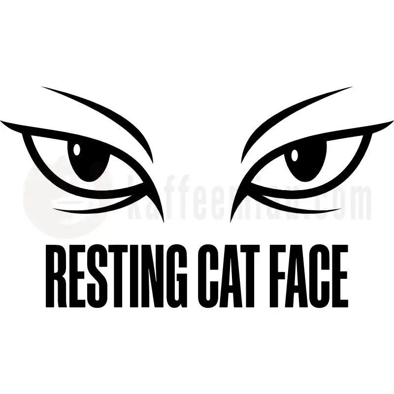 Design Vorschau Resting Cat Face