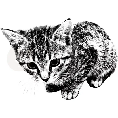 Design Vorschau Sweet Kitten