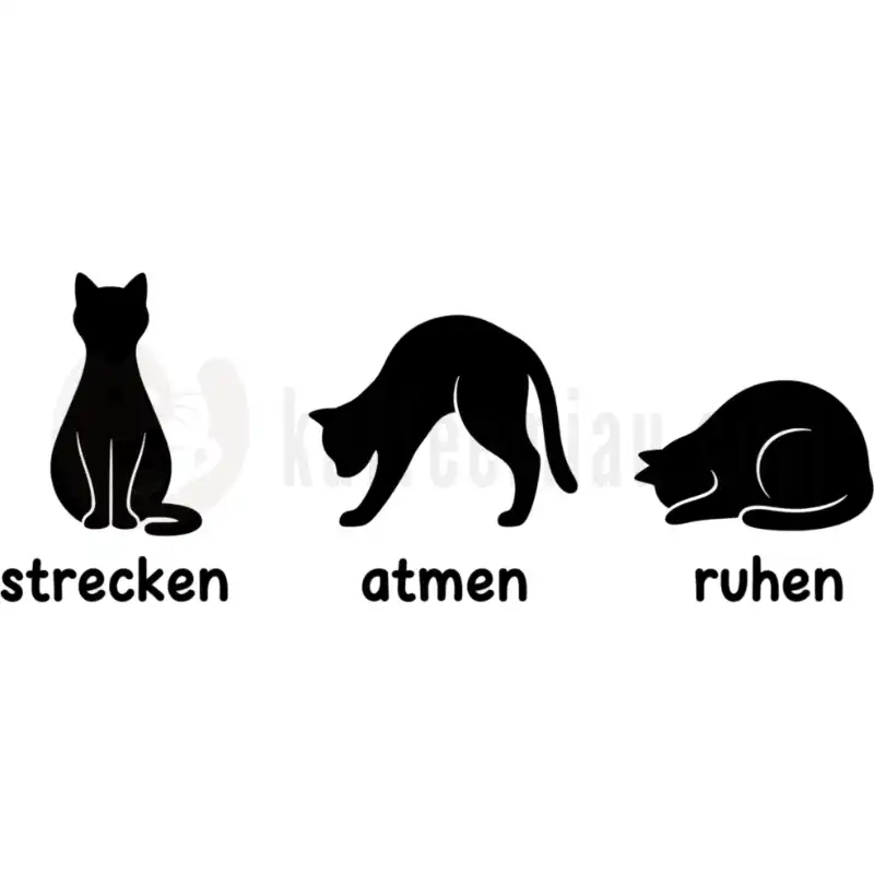 Design Vorschau Yoga