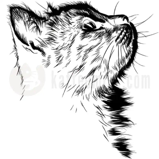 Design - Liebeskummer - Katze